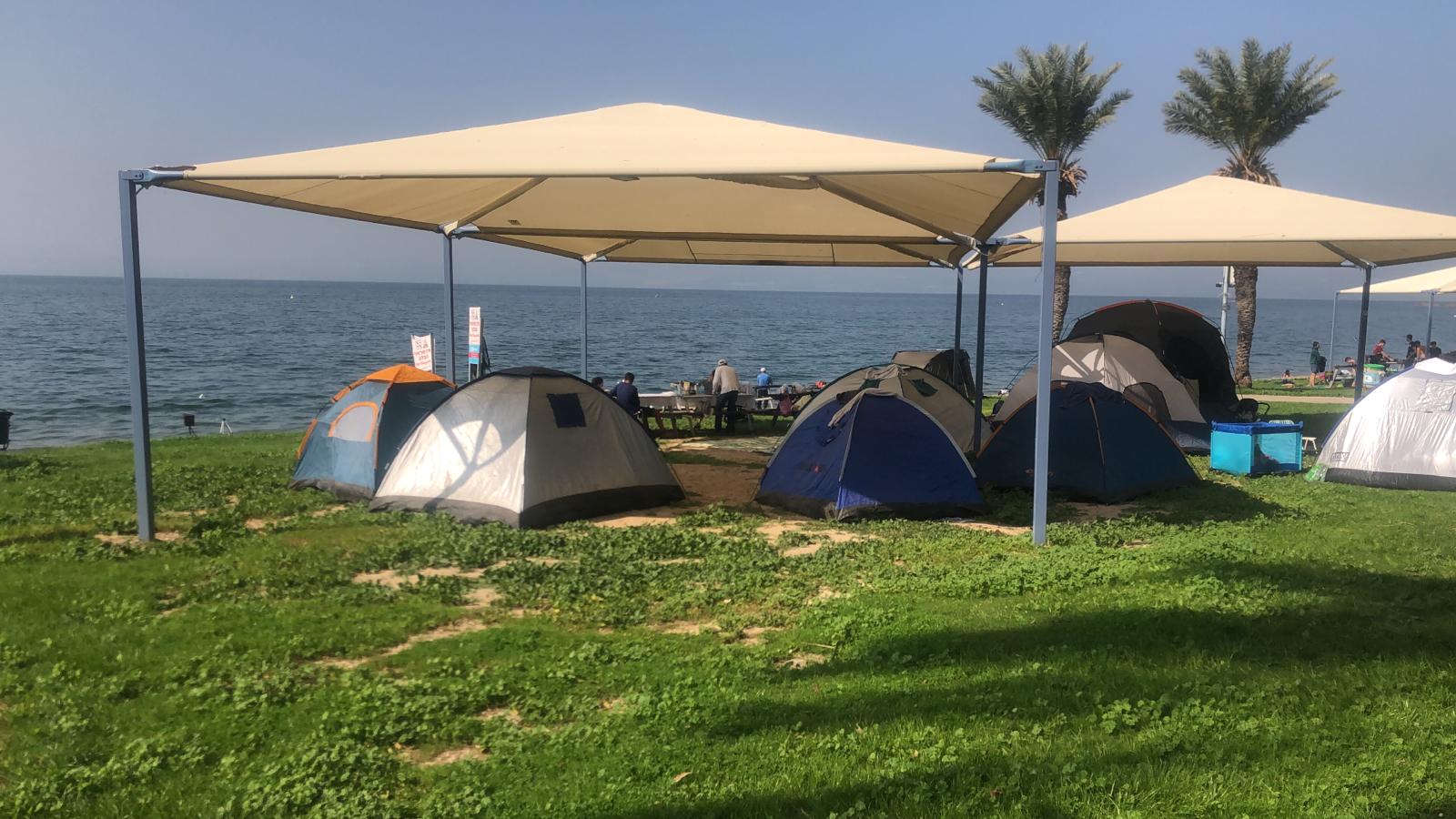 כינרת