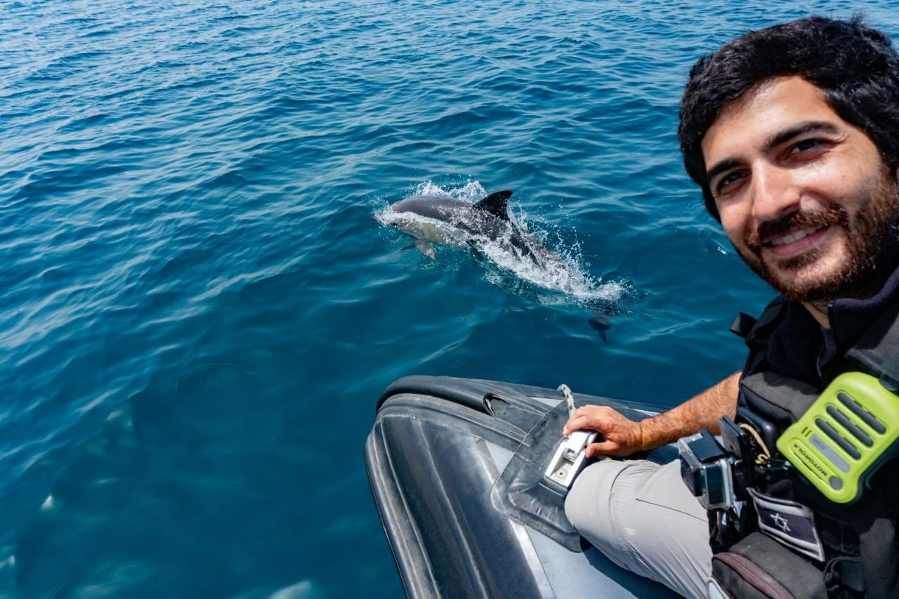 דולפין,ים, רשות הטבע והגנים