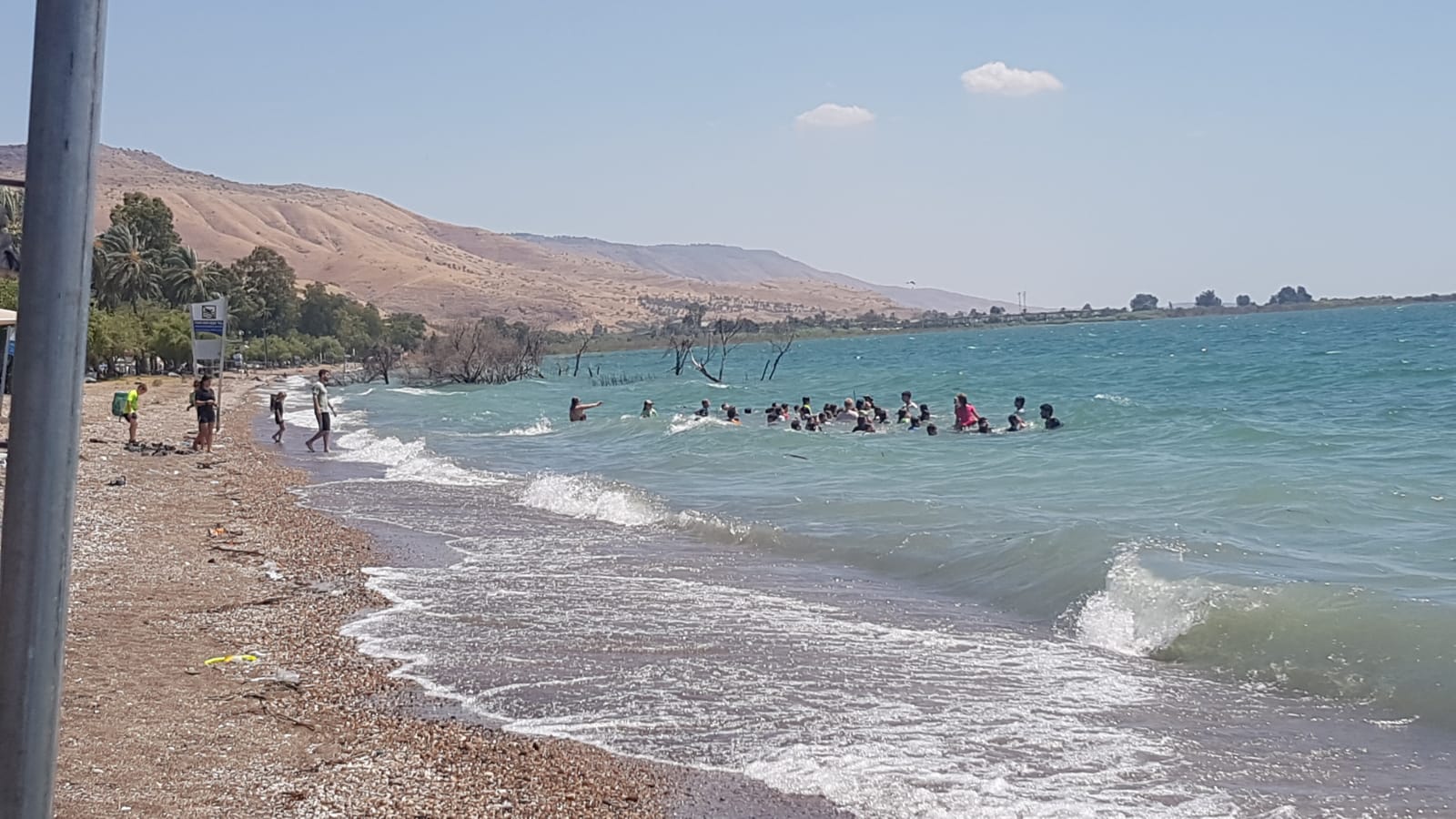 חוף צאלון, הכינרת