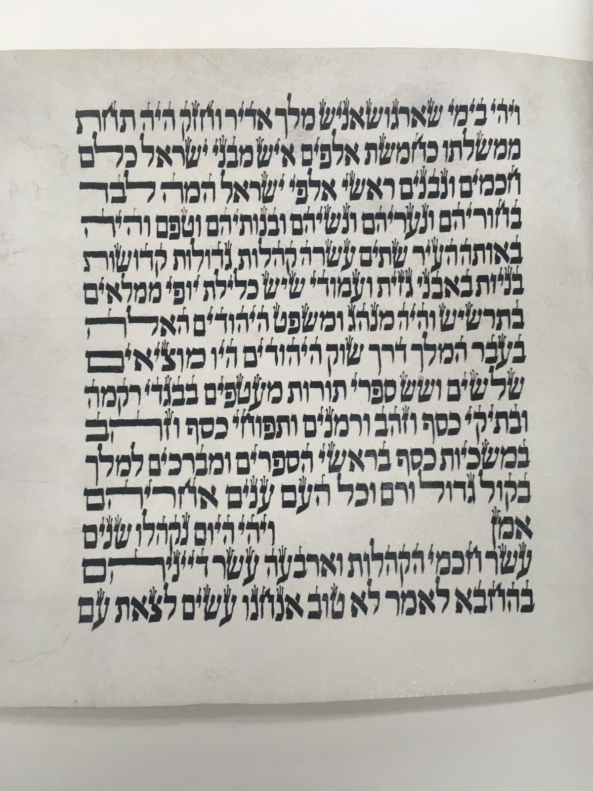 מגילת סרגוסה