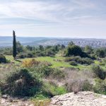 צילום: איציק בן דב, החברה להגנת הטבע