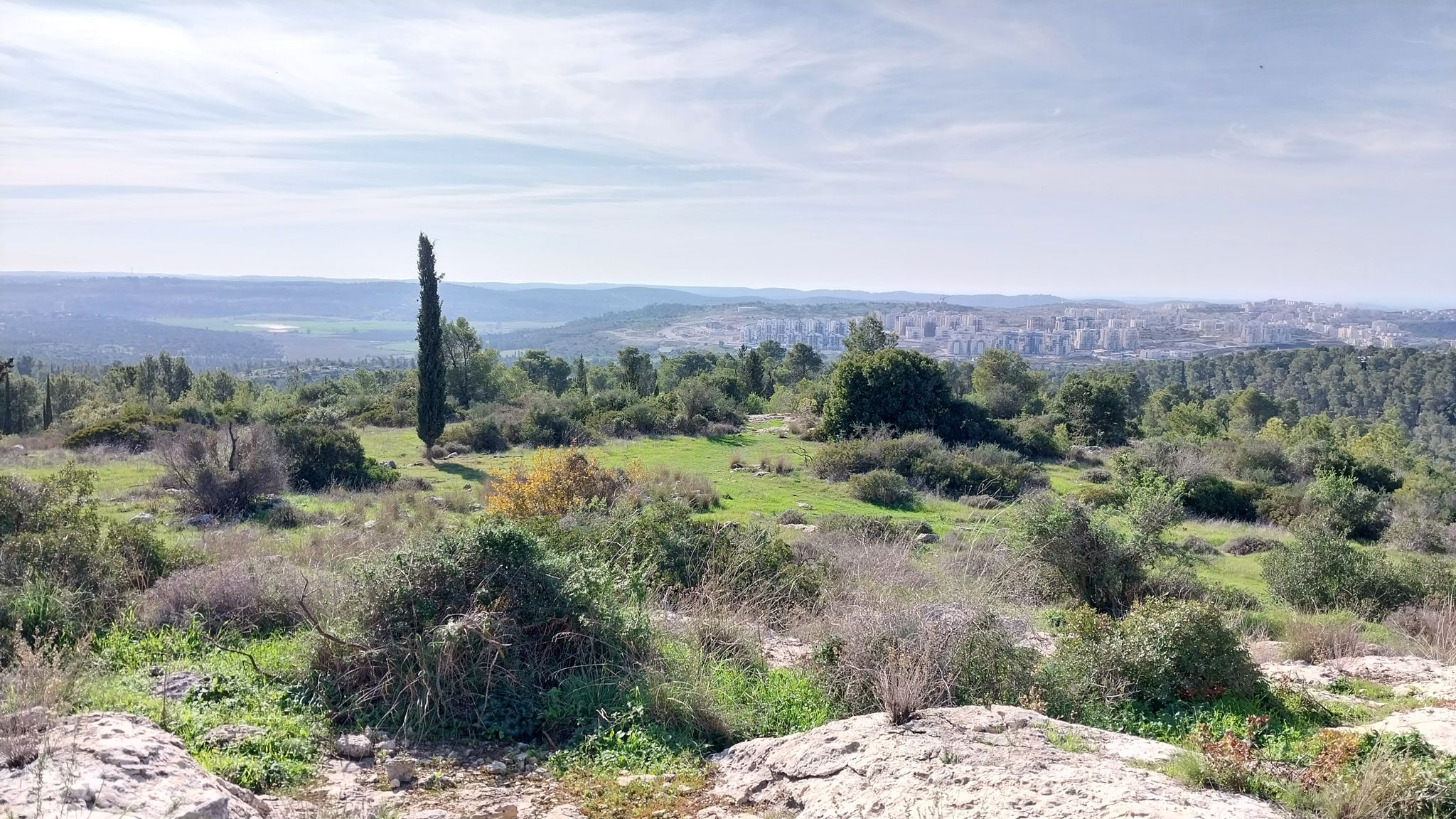 צילום: איציק בן דב, החברה להגנת הטבע
