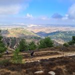 נחל צופית בגוש עציון זוכה לתנופת פיתוח מחודשת לאחר עצירתו במלחמה צילום: יאיר ארונשטם