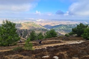 נחל צופית בגוש עציון זוכה לתנופת פיתוח מחודשת לאחר עצירתו במלחמהצילום: יאיר ארונשטם