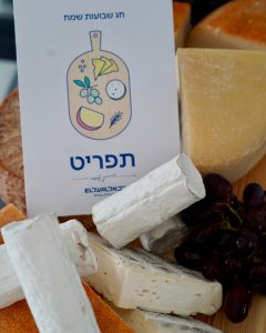 צילום: דוברות אל על