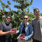 מיקי ענבר, שמעון מיכאל וגל פיטוסי. צילום: סטודיו A