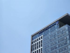 רשות המסים בבניין משרדי הממשלה בבאר שבע, צילום: אודי דוד בן דוד