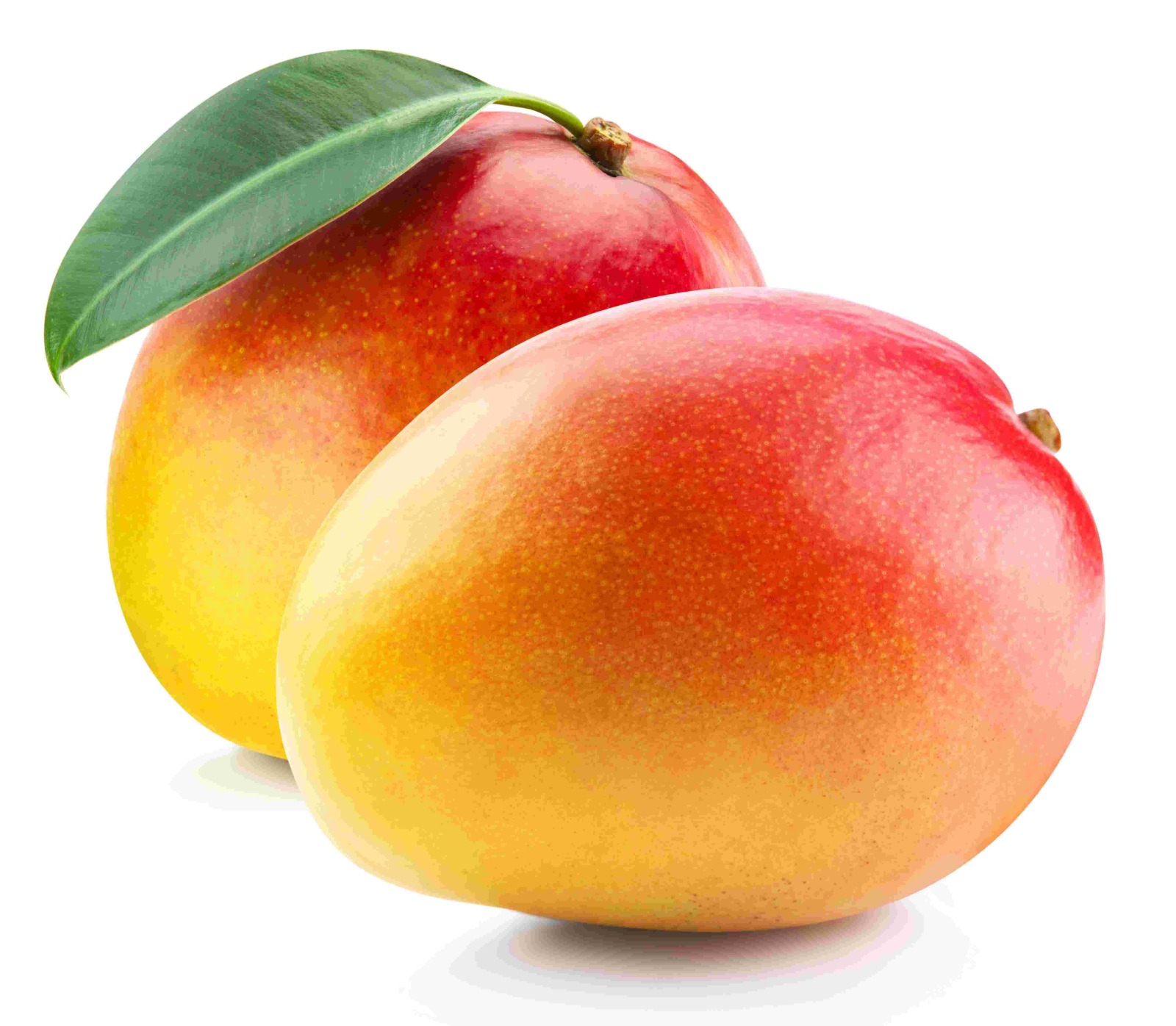 צילום: shutterstock