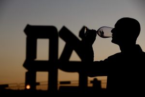 פסטיבל היין בירושלים חוגג 25, צילום: ברק אהרון