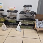 שלל החיות שהובאו בטיסה לישראל, צילום: רשות הטבע והגנים ודוברות רשות המסים