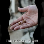 מרכז "תקומה מן האפר" צילום: אמיל אלג'ם, רשות העתיקות