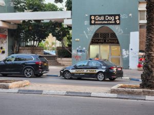 משטרת תנועה בפעולה, צילום: אודי דוד בן דוד