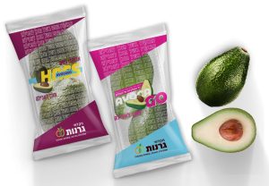 צילום: דרור ביהם